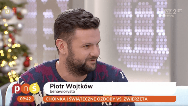 choinka i świąteczne ozdoby vs zwierzęta Piotr Wojtków