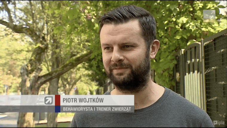 Piotr Wojtków behawiorysta i trener zwierząt wywiad dla polsat news
