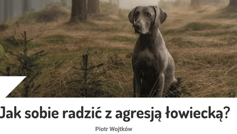 Jak sobie radzić z agresją łowiecką Piotr Wojtków