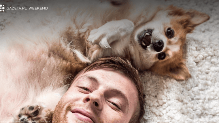 pies i człowiek leżą na dywanie